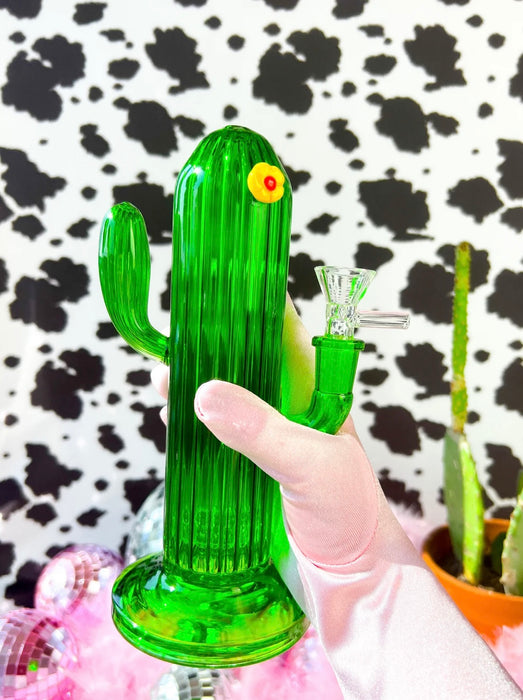 BURNING LOVE Succulent Cactus Water Pipe